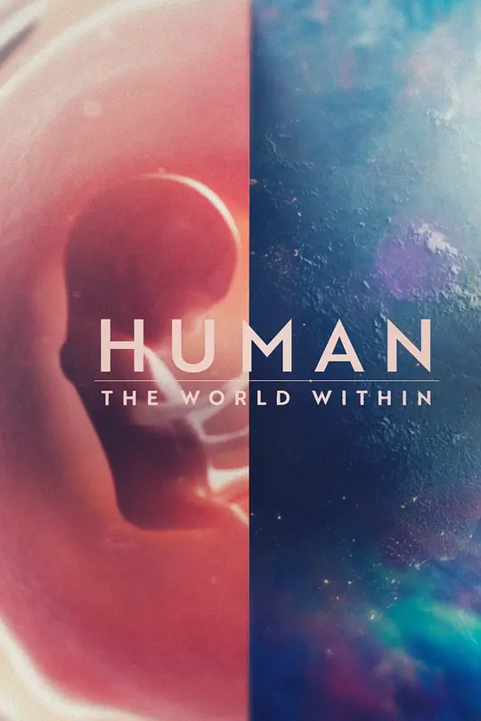 《人类：体内的世界 第一季》