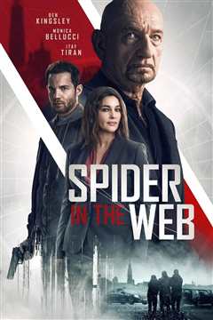 《网中蜘蛛 Spider In The Web》
