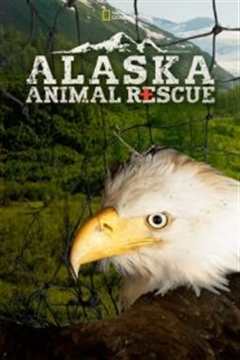 《阿拉斯加野生动物救援第一季》