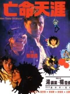 《亡命天涯1988》