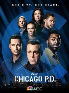 《芝加哥警署 第九季》