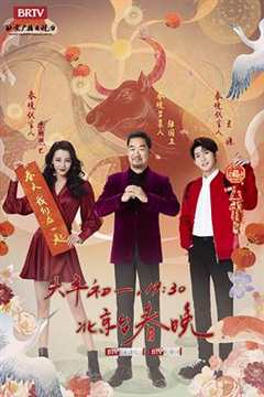 《2021年北京卫视春节联欢晚会》