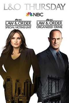 《法律与秩序：特殊受害者 第二十三季》