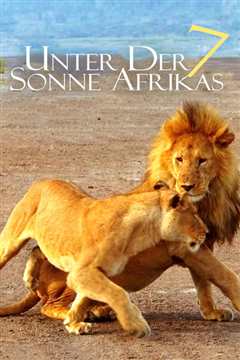 《走进非洲第七章拂晓之狮》