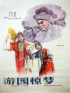 《游园惊梦1960》