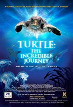 《海龟奇妙之旅》