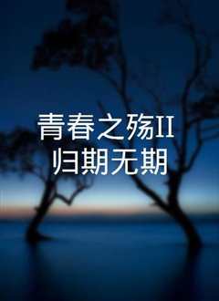 《青春之殇II：归期无期》