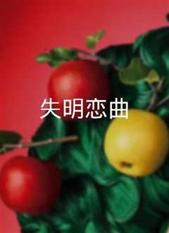 《失明恋曲》