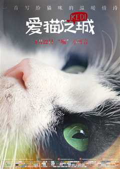 《爱猫之城 Kedi》