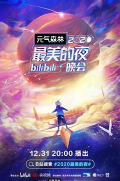 《2020最美的夜 bilibili晚会》