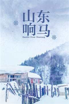 《山东响马》