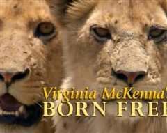《弗吉尼亚·麦肯娜回顾《生来自由》》