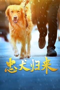 《忠犬归来》