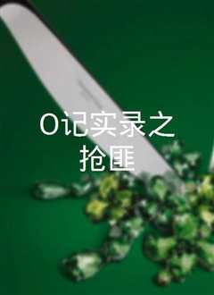 《O记实录之抢匪》