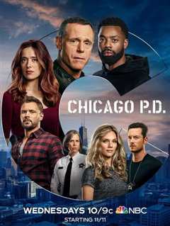 《芝加哥警署 第八季》