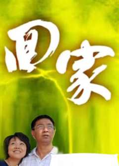 《回家2009》