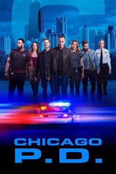 《芝加哥警署 第七季》