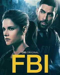 《联邦调查局 第四季 FBI Season 4》