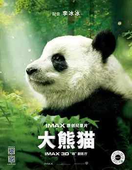 《爱上大熊猫》
