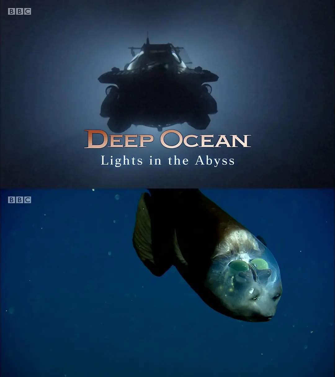 《深海：深渊之光》