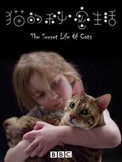 《猫的秘密生活》