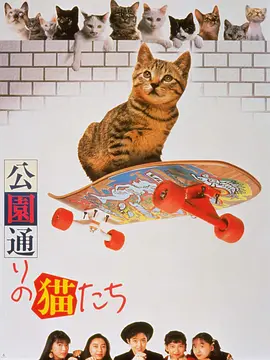 《公园路的猫们》