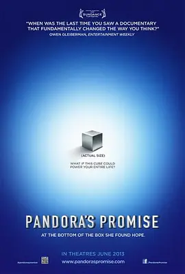 《潘多拉的承诺》