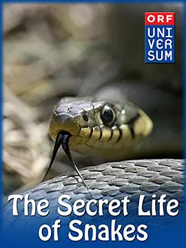《蛇的秘密生活》