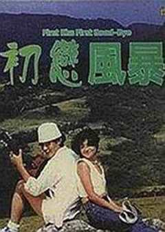 《初恋风暴1978》