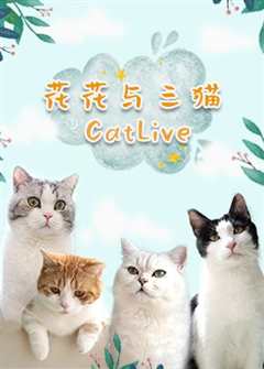 《花花与三猫catlive》