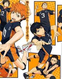 《排球少年 Haikyuu!!剧场版》