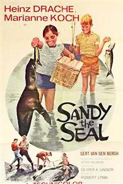 《Sandy the Series》