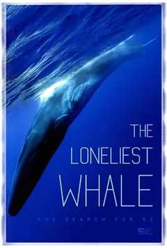 《最孤独的鲸：寻找52》