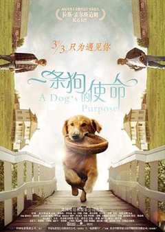 《一条狗的使命(普通话版)》