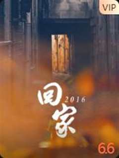 《回家2016》