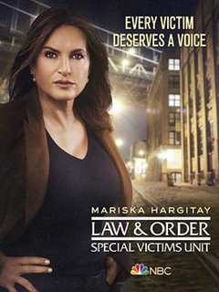 《法律与秩序特殊受害者第二十二季》