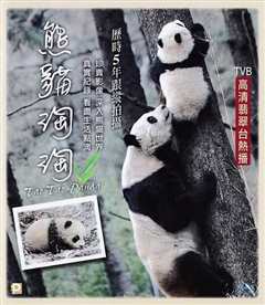 《熊猫淘淘》