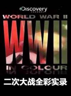 《二次大战全彩实录》
