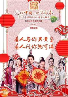 《2017全球华侨华人春节大联欢》