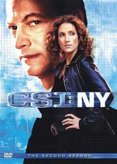 《犯罪现场调查：纽约第二季》