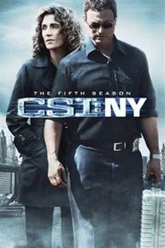 《犯罪现场调查：纽约第五季》