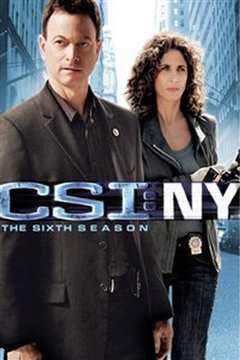 《犯罪现场调查：纽约第六季》