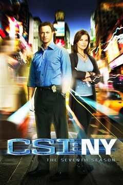 《犯罪现场调查：纽约第七季》