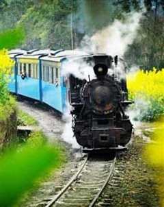 《《最后的蒸汽小火车》》