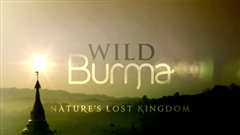 《野性缅甸：失落的自然王国》