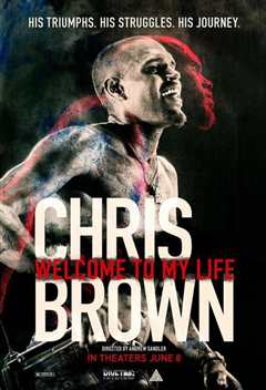 《克里斯·布朗：欢迎来到我的生活》