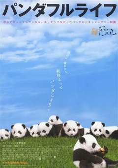 《大熊猫的生活》