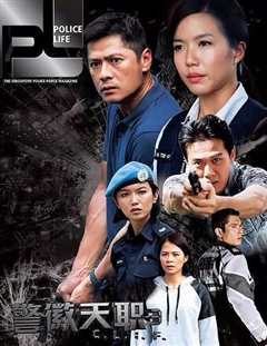 《警徽天职3》