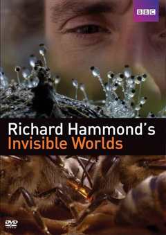 《BBC理查德哈蒙德：看不见的世界》