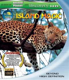 《动物星球之惊奇之岛》